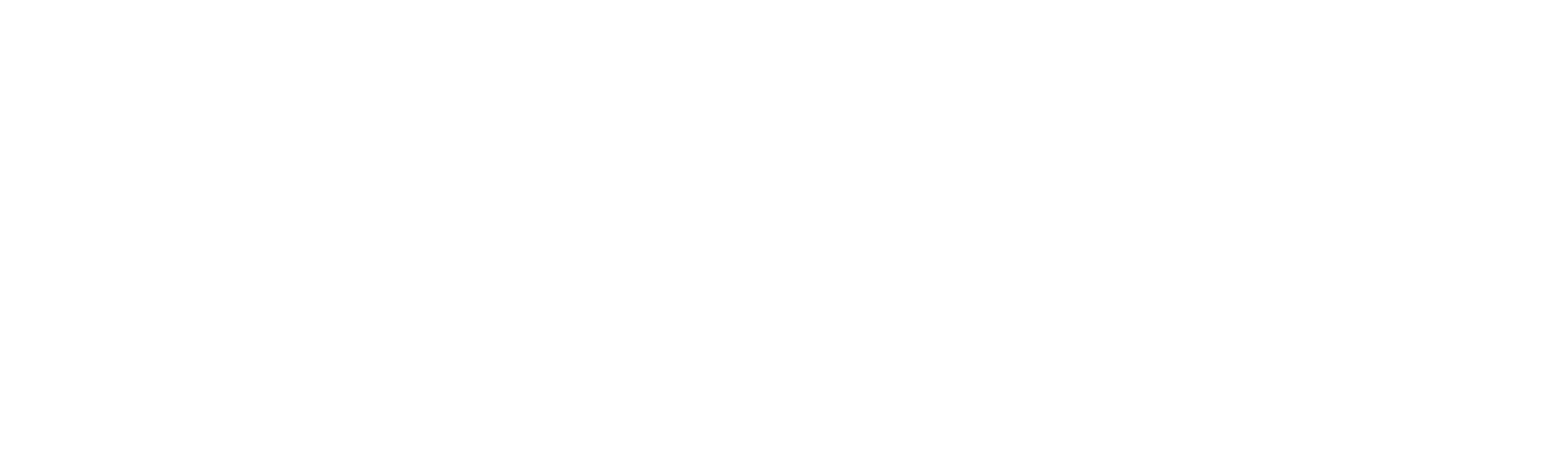 the planners